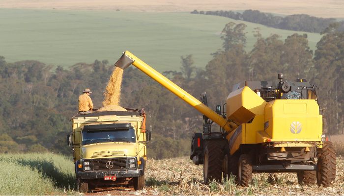 Foto: Jaelson Lucas/Arquivo AEN Paraná projeta maior safra de milho da história em 24/25, mesmo com perdas climáticas
